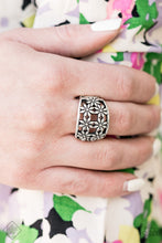 Load image into Gallery viewer, Paparazzi Crazy About Daisies - Silver - Ring - Trend Blend / Fashion Fix Exclusive - August 2020 - $5 Jewelry with Ashley Swint